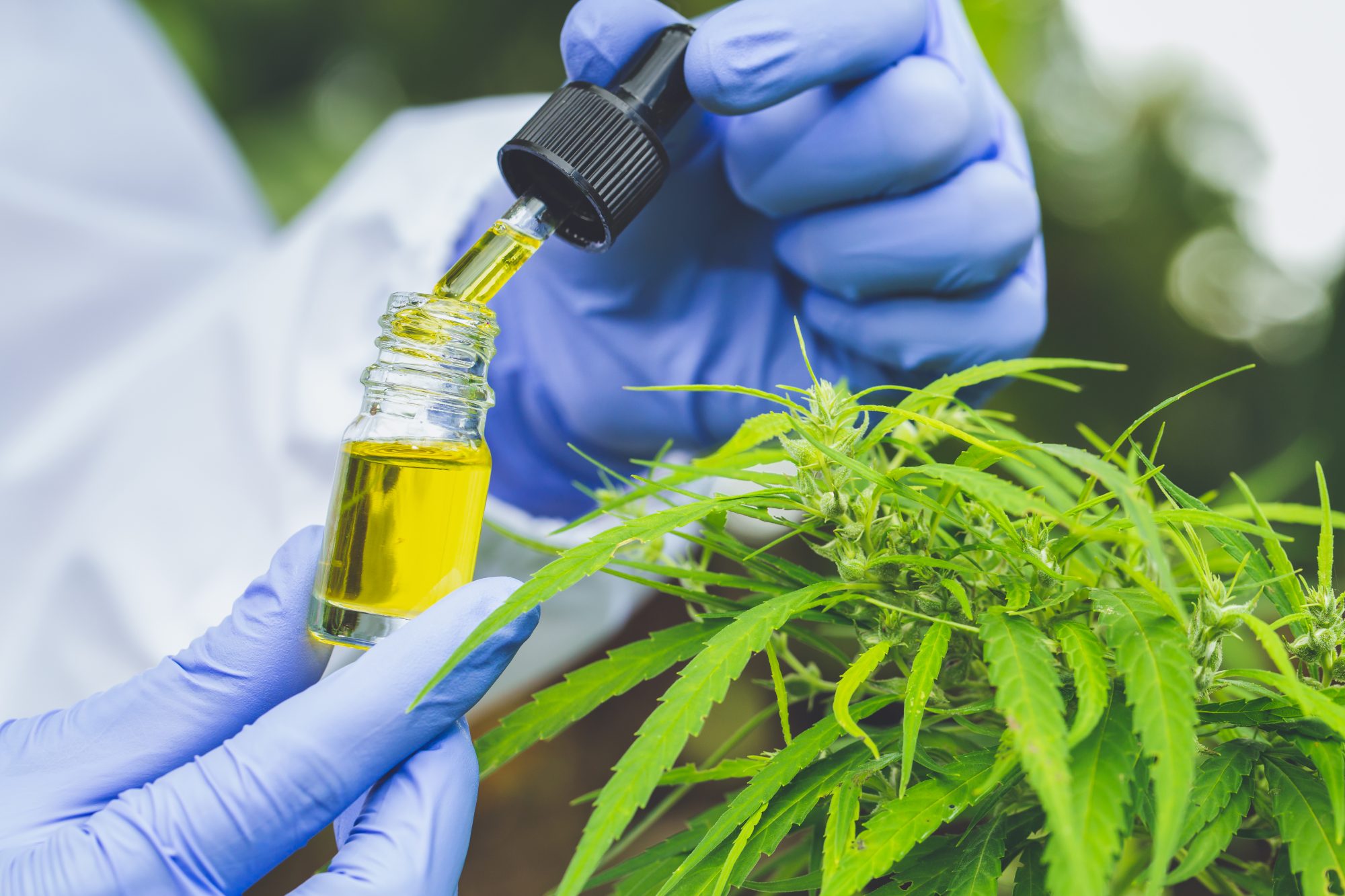11 Misconceptions About CBD